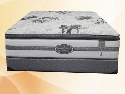 Sleep In Luxury  Collection SIESTA